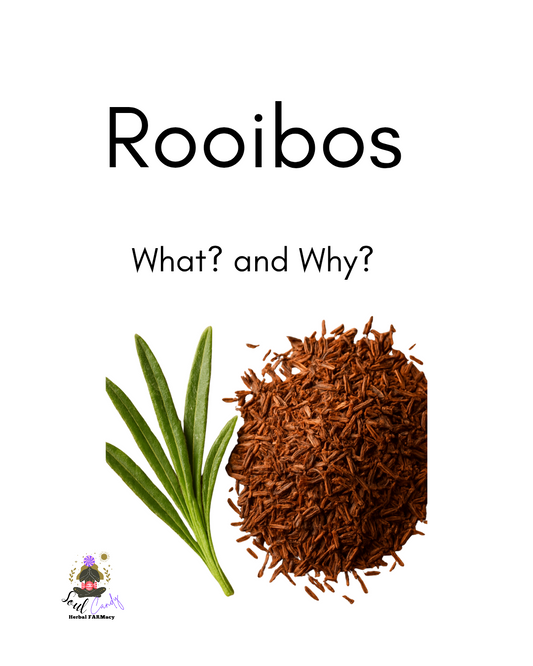 Rooibos