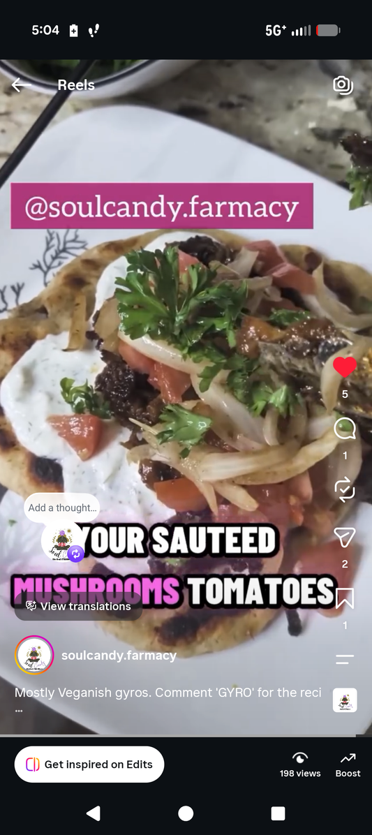Vegan-ish Gyros