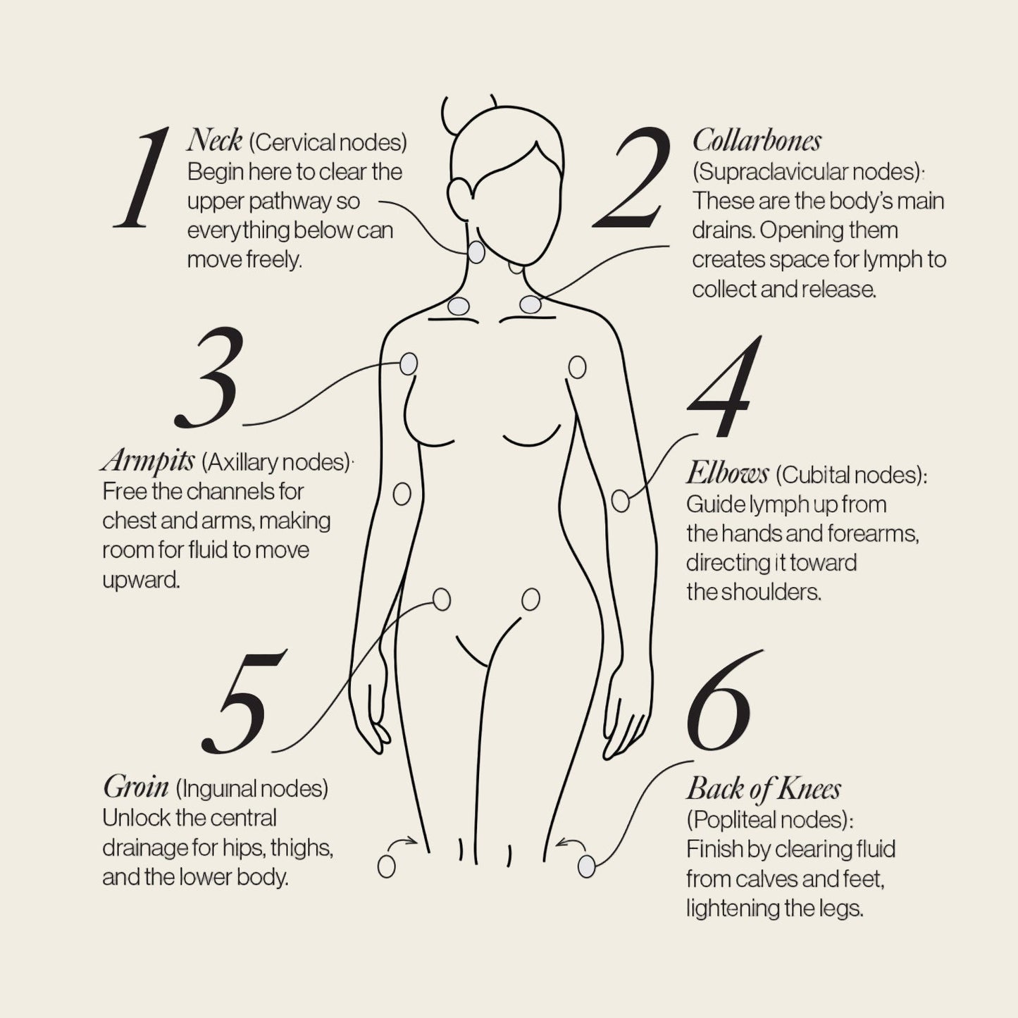 Lymphatic Drainage Dots