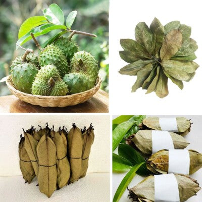 Soursop leaves